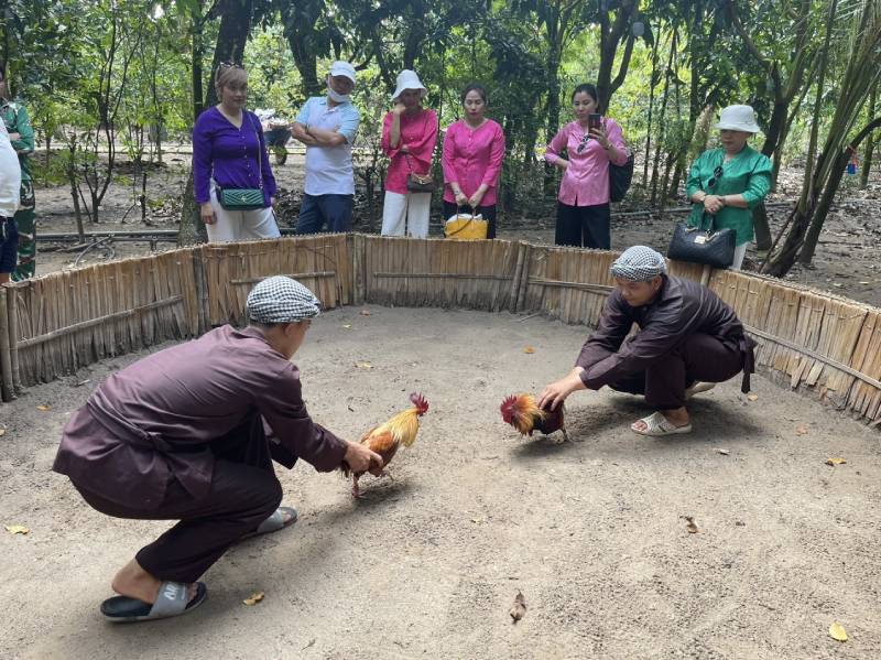 Da Ga Mien Tay – Van Hoa Giai Tri Dam Chat Mien Song Nuoc